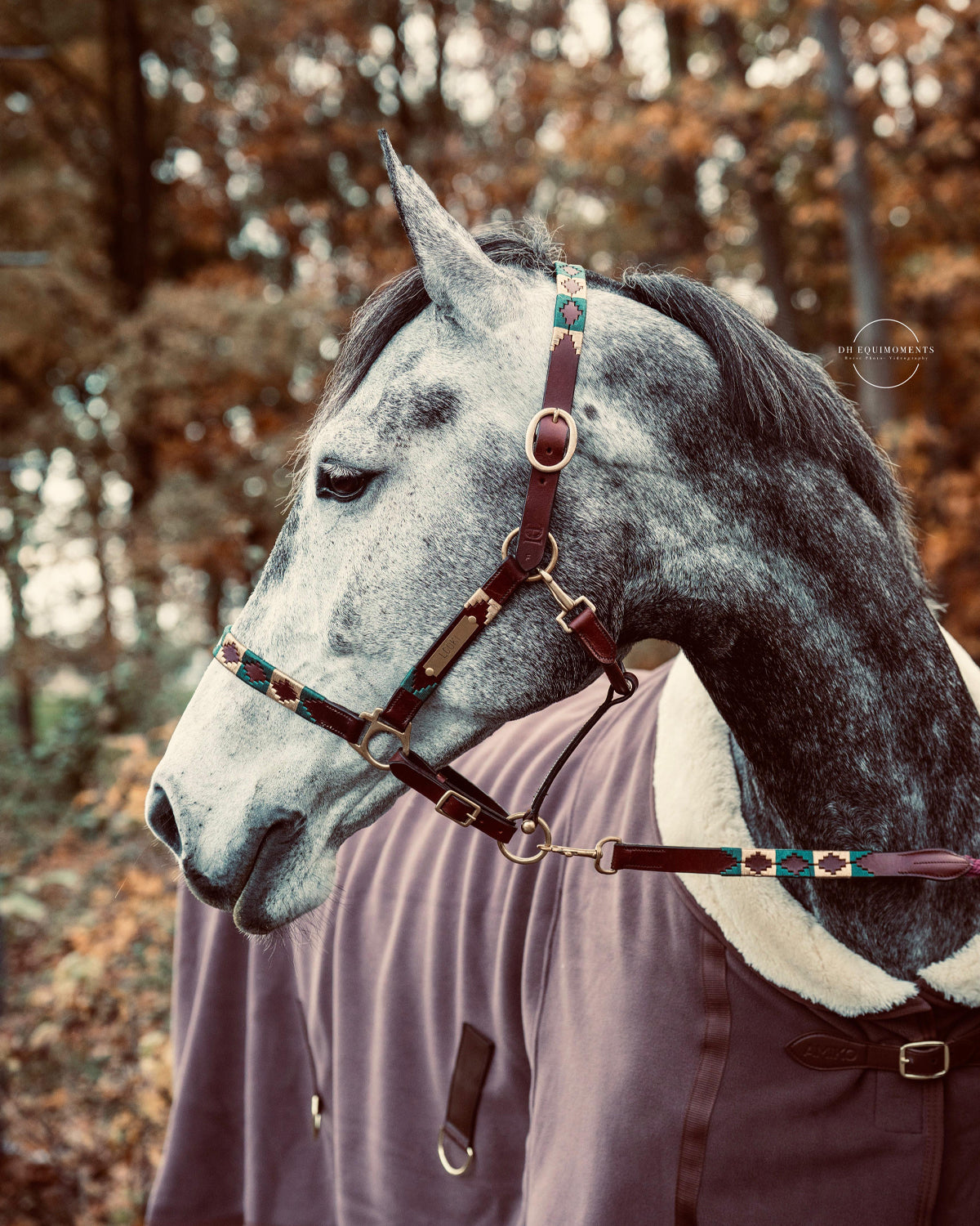 Personalisiertes Polohalfter - Oro